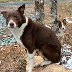 Meet your Posher, Tara